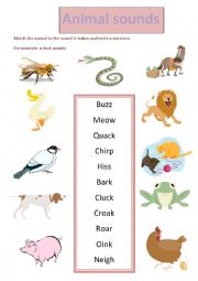 English Worksheet: animal sounds