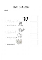 English Worksheet: The Five Senses