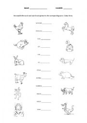 English Worksheet: Chinese Zodiac