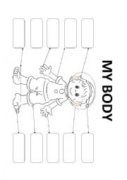 English Worksheet: My body