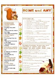 English Worksheet: SOME and ANY