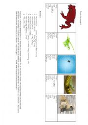 English Worksheet: Trip to the Zoo part 3