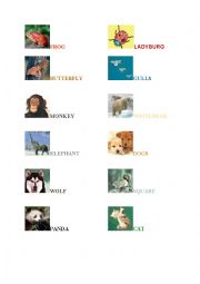 English Worksheet: animals 