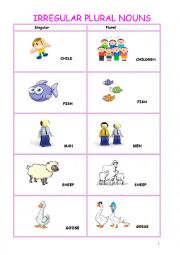 IRREGULAR PLURAL NOUNS