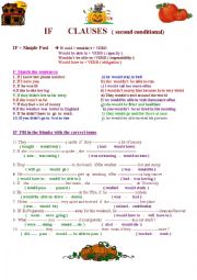 English Worksheet: If Clause-Second Conditional