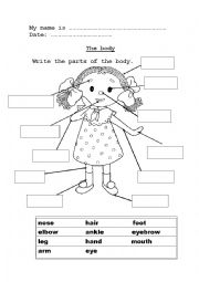 English Worksheet: The parts of the body