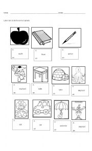 English Worksheet: A - An