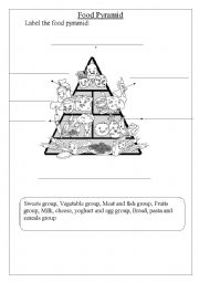 English Worksheet: Food Pyramid