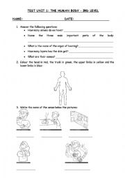 English Worksheet: The human body