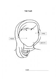 English Worksheet: The face
