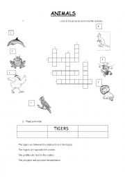 English Worksheet: ANIMALS