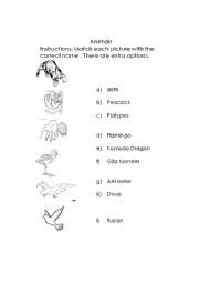 English Worksheet: Animals
