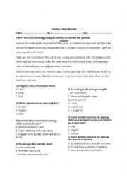 English Worksheet: Reading comprehension