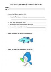 English Worksheet: Vertebrate Animals