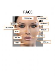 English Worksheet: FACE