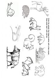 English Worksheet: ANIMALS IN WINTER