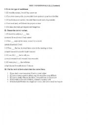 English Worksheet: Test Conditionals