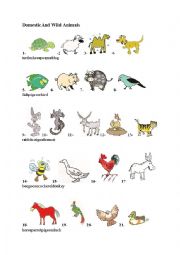 English Worksheet: domestic and wild animals