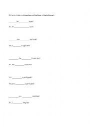 English Worksheet: Practicing the verb to have and auxiliary verbs.
