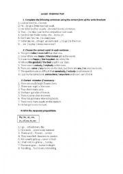 English Worksheet: Lexical-Grammar Test