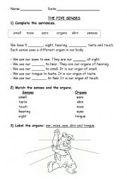 English Worksheet: Five senses