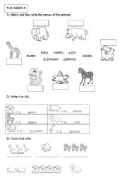 English Worksheet: ANIMALS (A-AN)