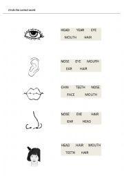 English Worksheet: body parts - face 