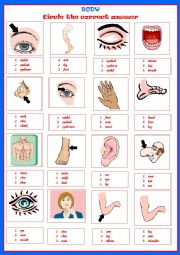 English Worksheet: BODY PARTS - multi-choice