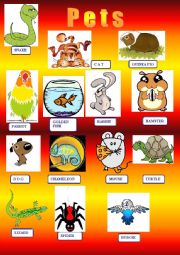 English Worksheet: pets clipart