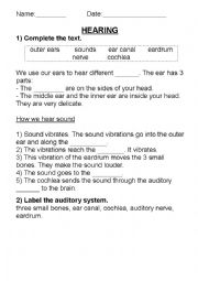 English Worksheet: The sense of hearing