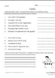 English Worksheet: Verbs Exercises