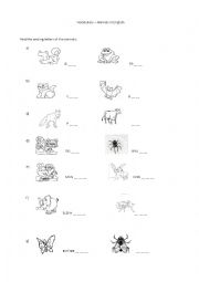 English Worksheet: animals in english