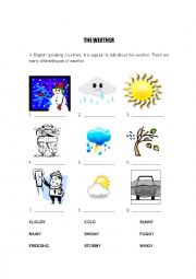 English Worksheet: THE WEATHER