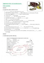 turtle the incredible journey worksheet answers