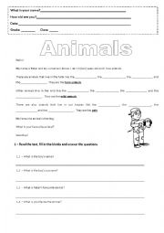 Animals (farm animals, wild animals and pets)