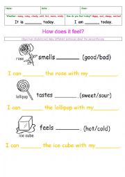 English Worksheet: how does it feel? ( 5 senses)