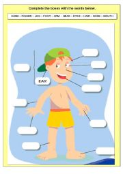 English Worksheet: HUMAN BODY EXERCISE