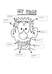 English Worksheet: My face