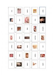 English Worksheet: body parts memory game