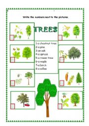 English Worksheet: The Trees