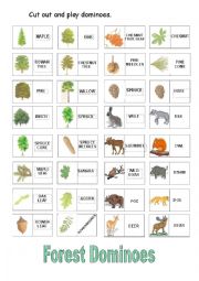 English Worksheet: Forest Dominoes