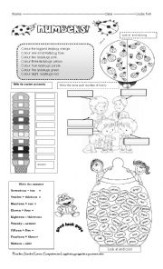 English Worksheet: test 1 for  first grade