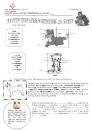 English Worksheet: How to describe a pet