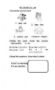 English Worksheet: Animals Practice 