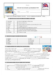 English Worksheet: Vocabulary, grammar and writing Test