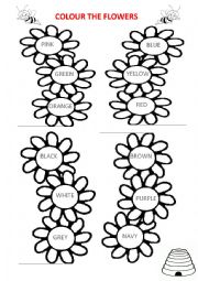 English Worksheet: Beautiful flowers