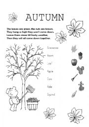 English Worksheet: Autumn