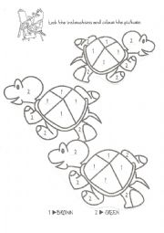English Worksheet: Coloring turtles