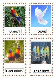 English Worksheet: BIRDS PART 1 