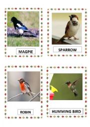 English Worksheet: BIRDS PART-6